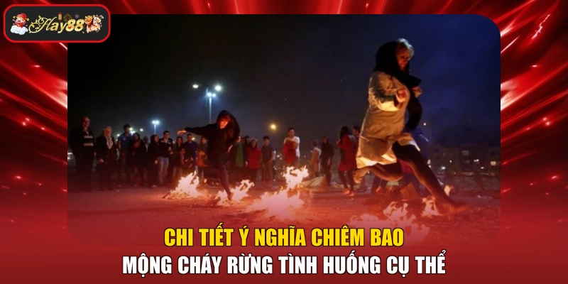 Chi tiết ý nghĩa chiêm bao mộng cháy rừng tình huống cụ thể