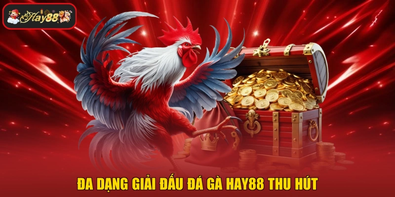 Đa dạng giải đấu đá gà HAY88 thu hút