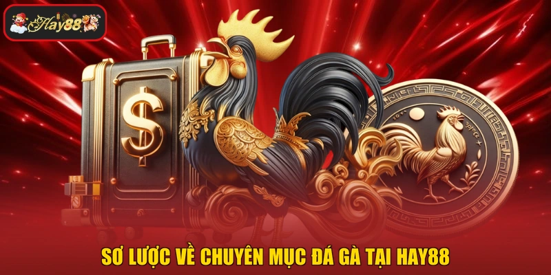 Sơ lược về chuyên mục đá gà tại HAY88
